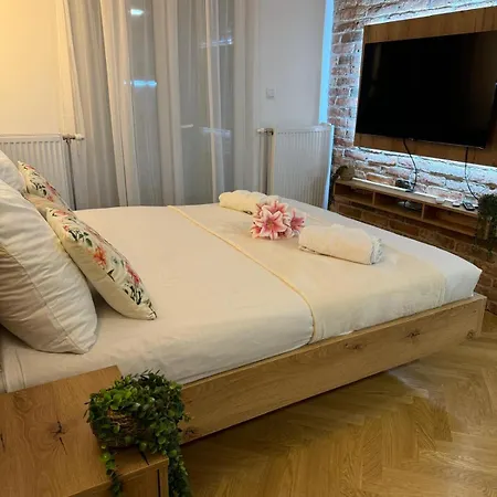 Viktor Lux 6 * Sokobanja